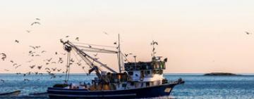 В Крыму задержали украинских моряков за якобы незаконный рыбный промысел